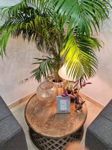 8bhk(vk1+vk2) living room two 8