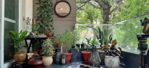 private rooms in 4bhk apartment(cr1) shared outdoor space